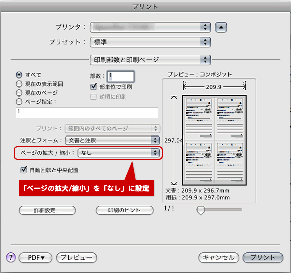 印刷設定の画面(Macintosh)